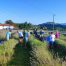 Čudovito lavandino polje v Kobdilju, katerega lastnik nam je nabrano sivko podaril.